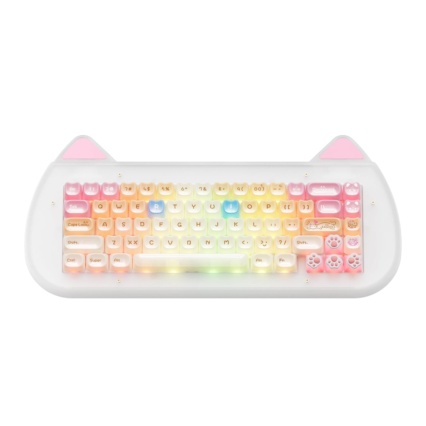 Pink acrylic cat-themed wireless mechanical keyboard with colorful backlit keycaps