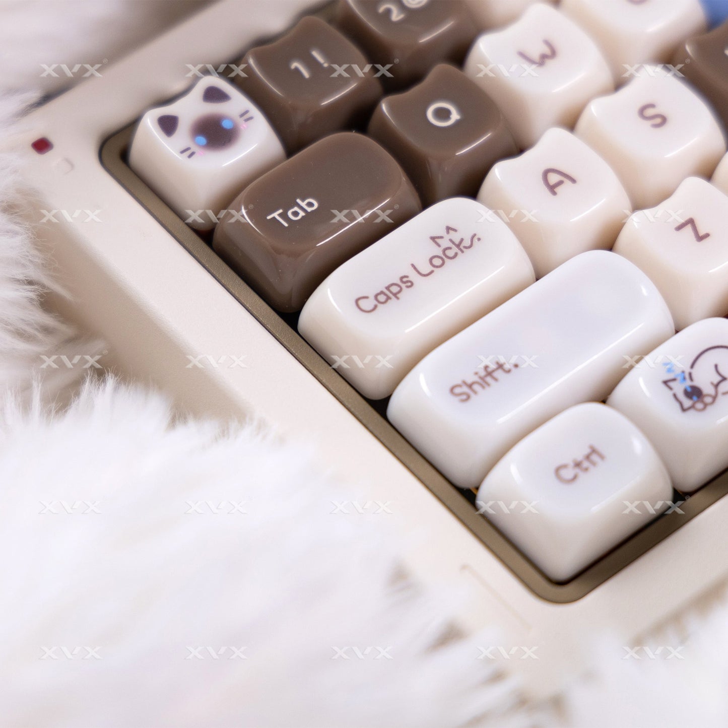 Close-up of white cat-themed keycaps, showing Tab, Caps Lock, Shift, and Ctrl keys