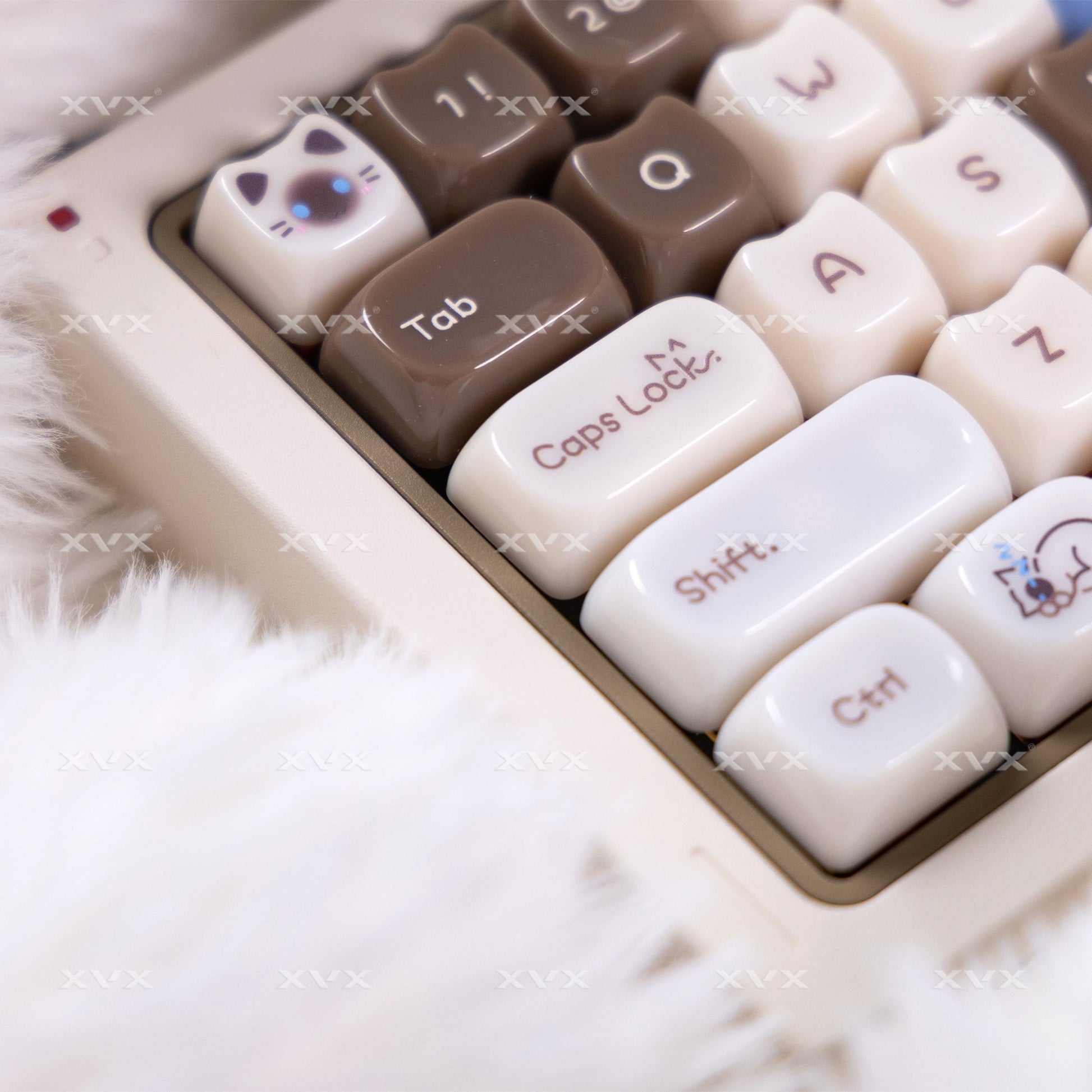 Close-up of white cat-themed keycaps, showing Tab, Caps Lock, Shift, and Ctrl keys