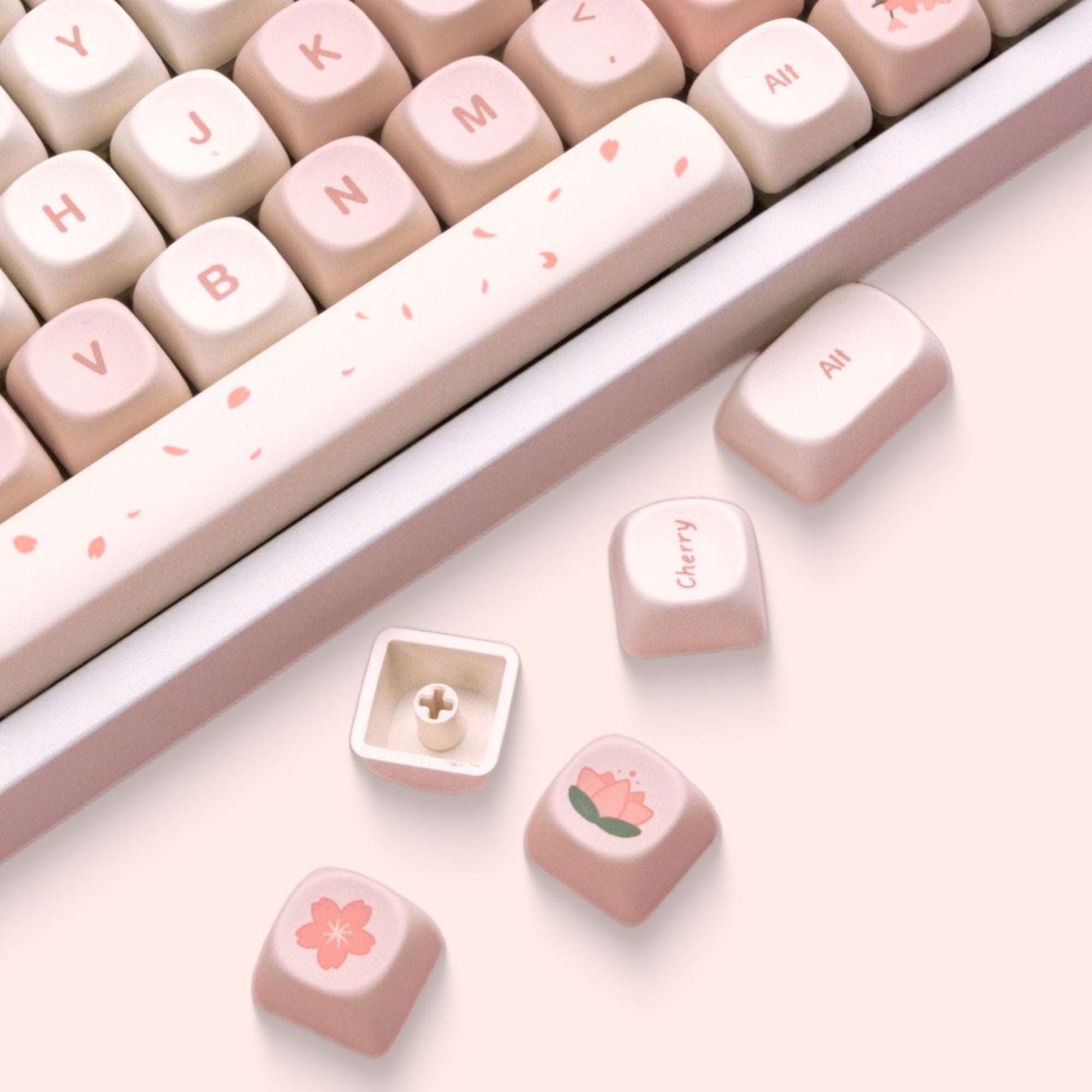 Close-up of cream and pink keycaps with cherry blossom Enter and All keys