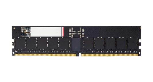 Black DDR5 ECC registered RAM module with gold edge contacts and red label strip