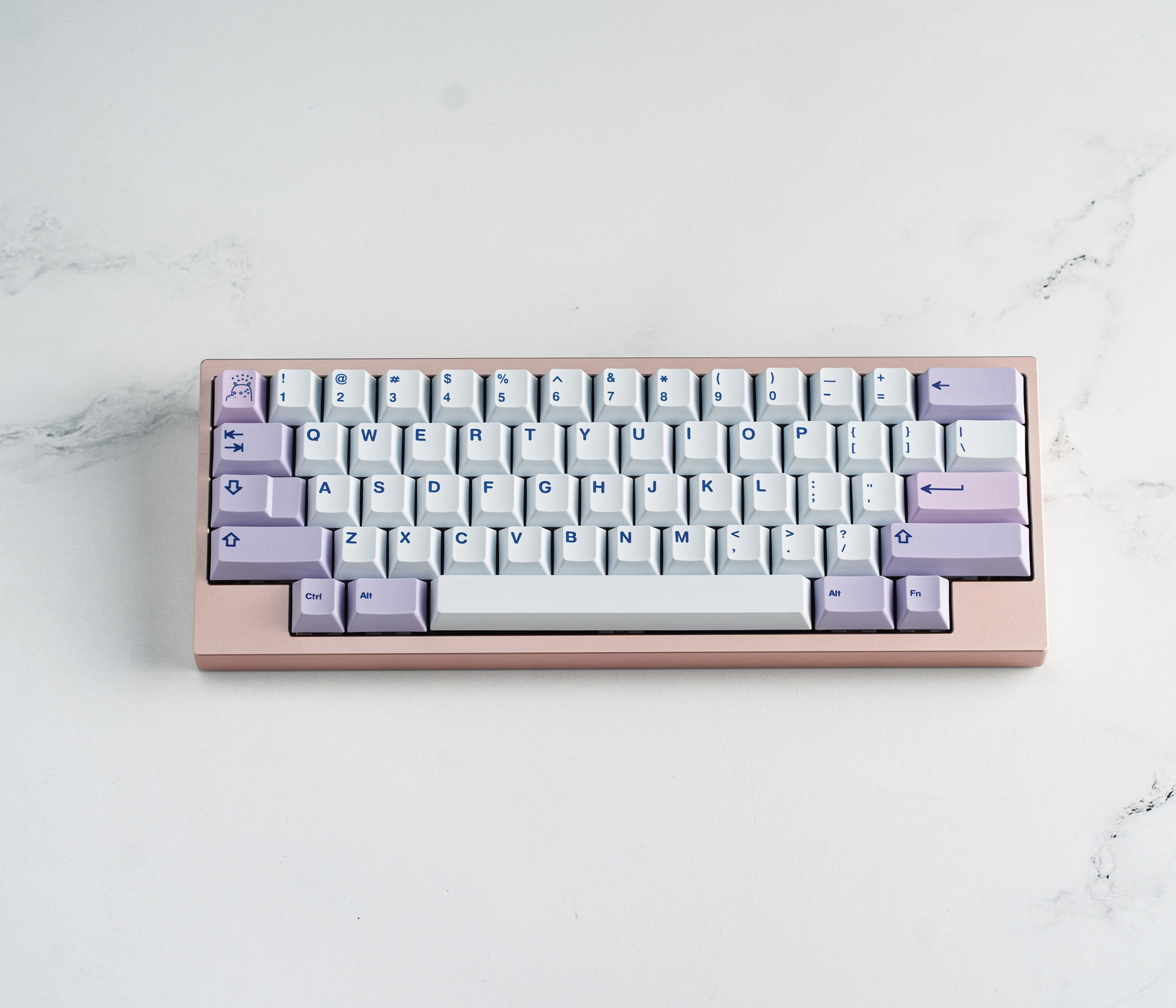 PBT keycap set on keyboard tray, white keys with blue and lilac symbols