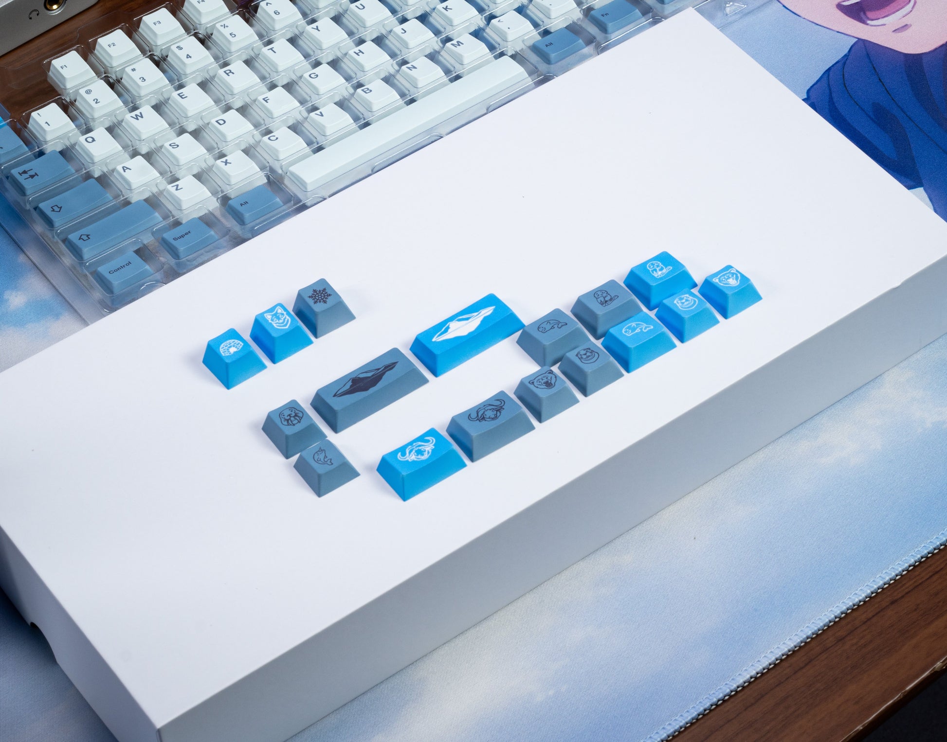 Assorted light-blue and white PBT keycaps with legends, shown laid out on surface
