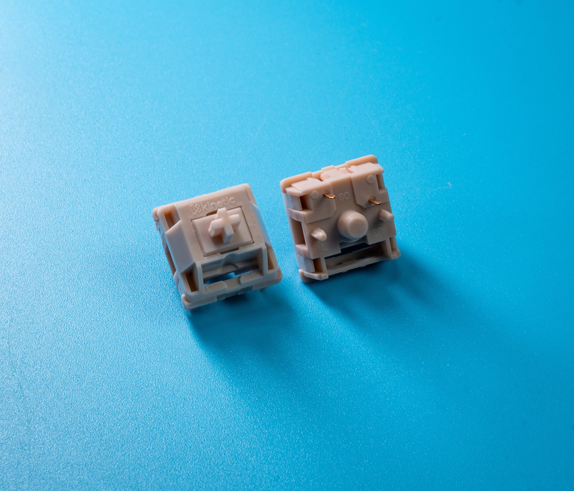 Two cream mechanical keyboard switches with stems and housings on blue