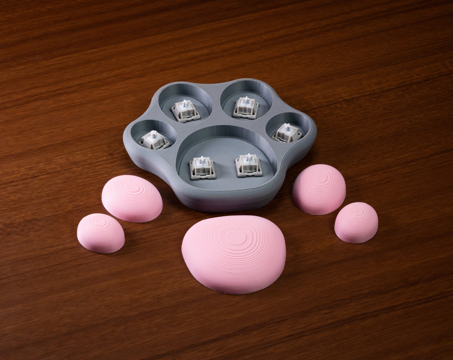 Gray paw-shaped base with switch sockets and pink ridged caps, fidget toy