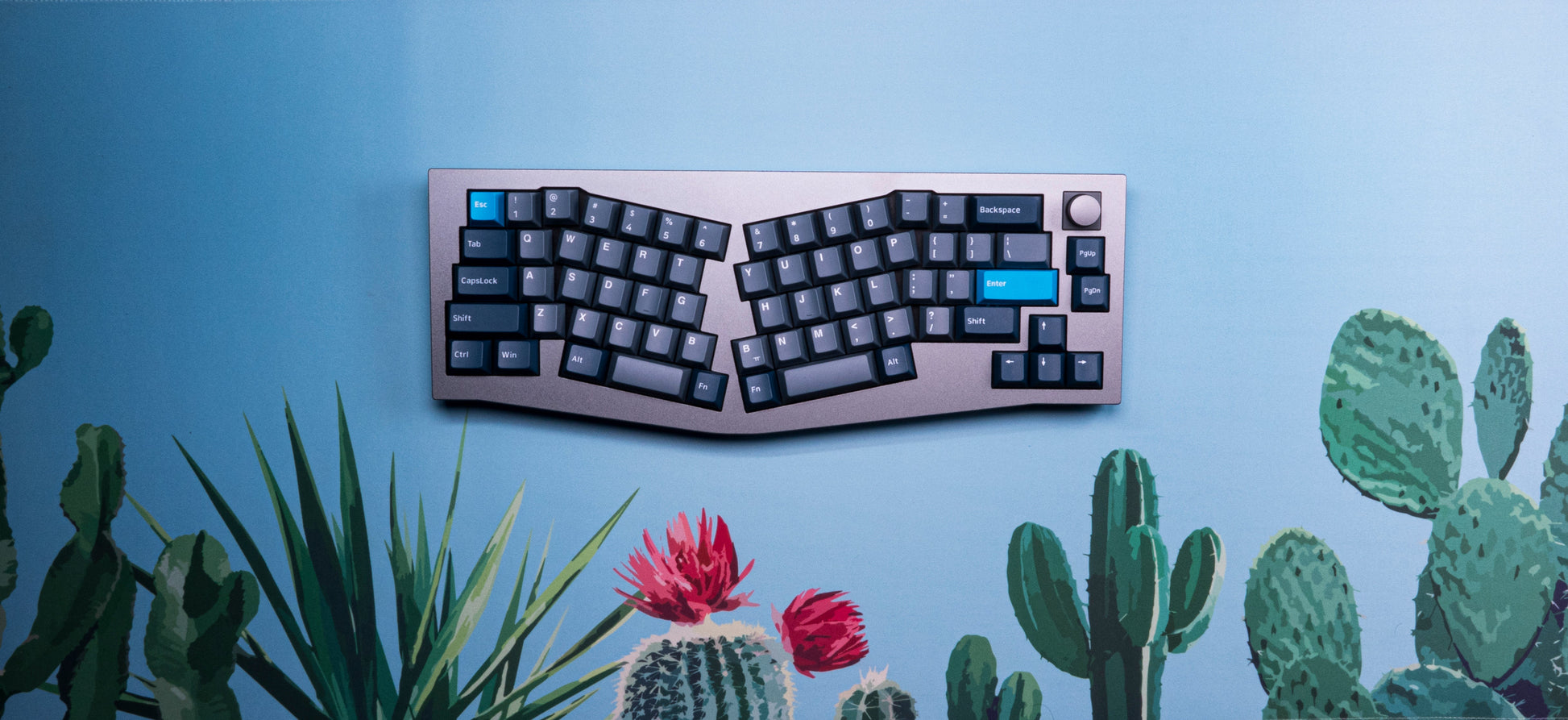 Blue cactus-themed desk mat with keyboard partially visible and colorful succulent illustration