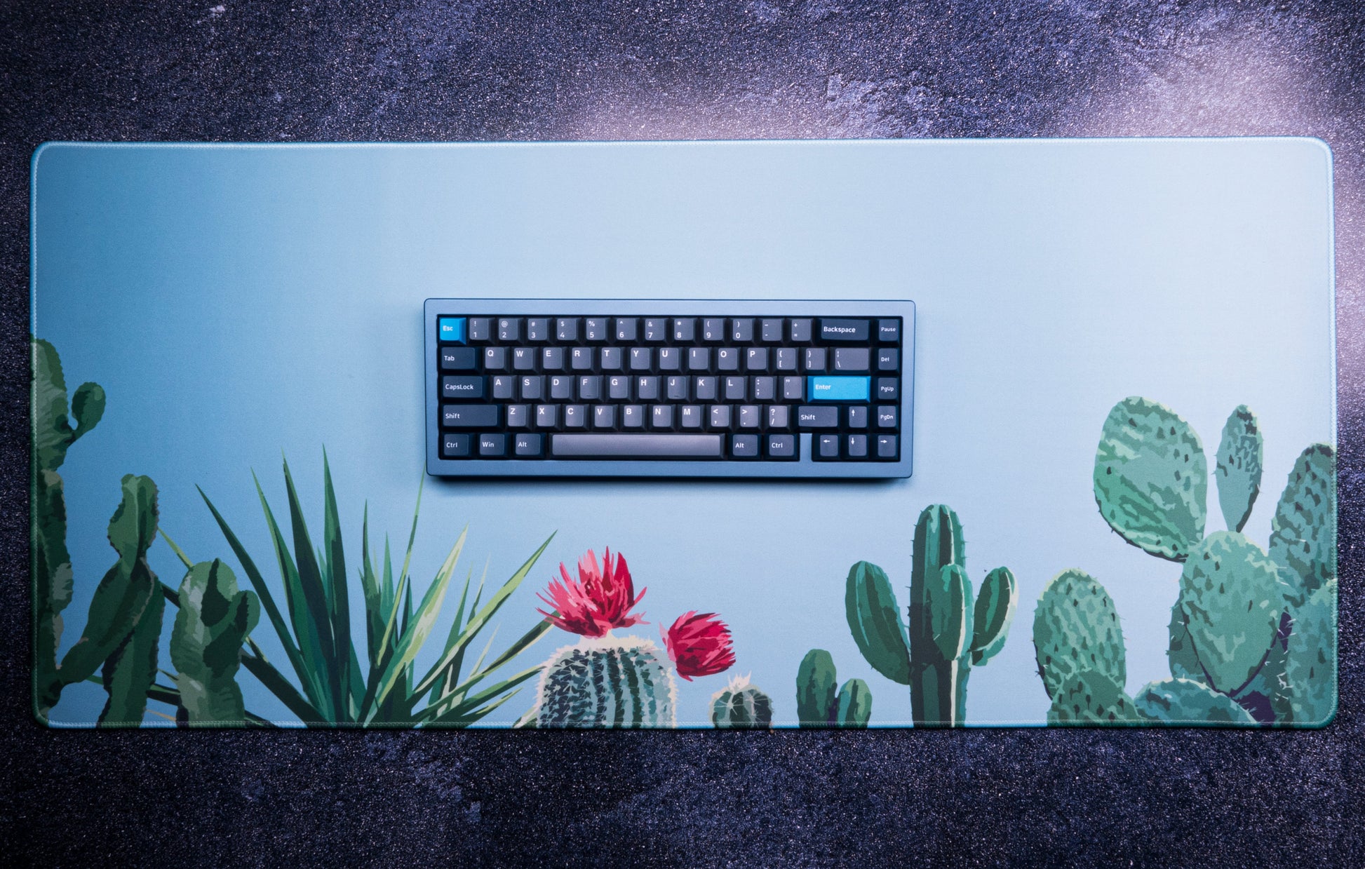 Blue rectangular desk mat with cactus and succulent graphic, keyboard centered on top