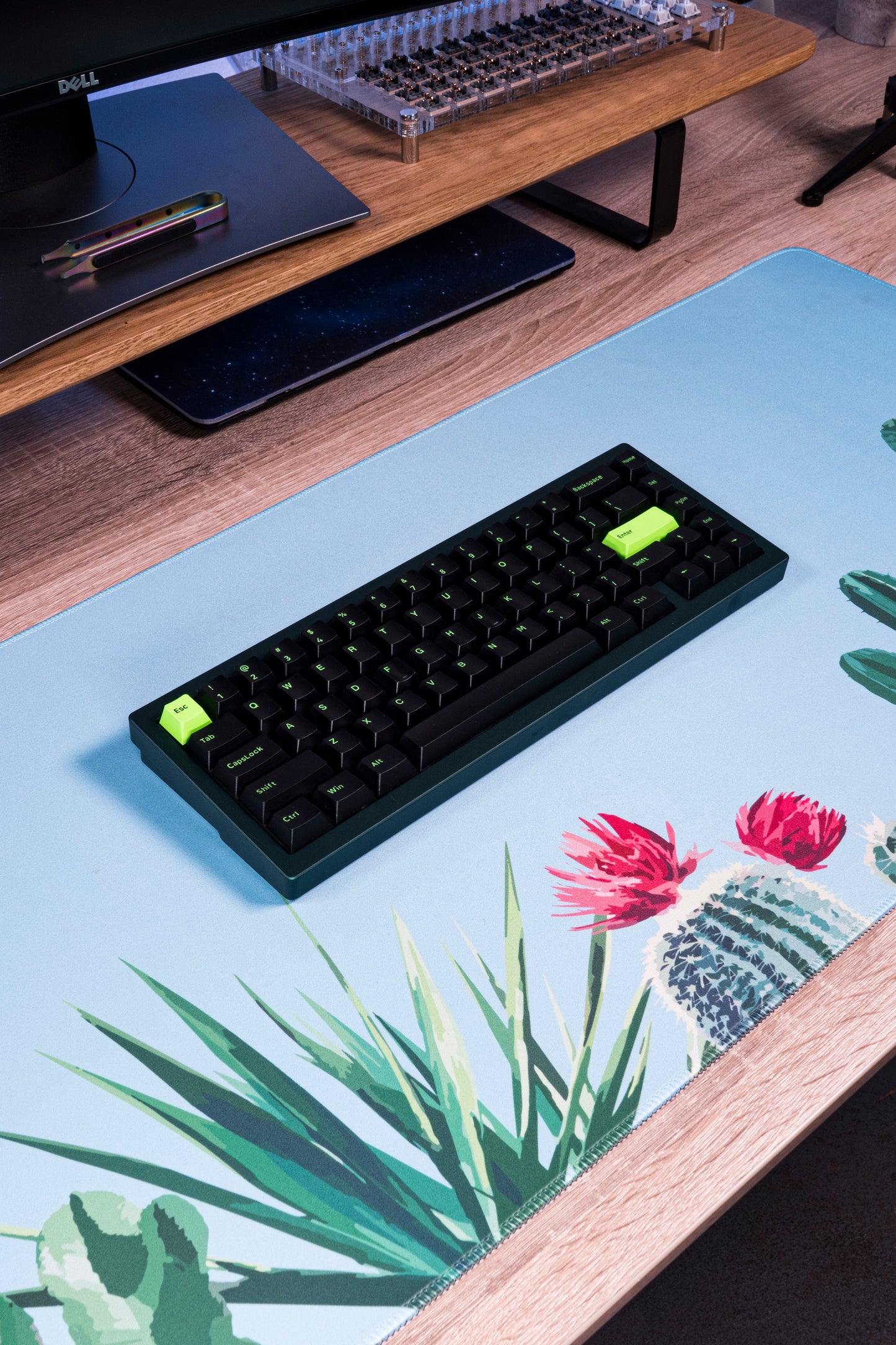 Blue cactus desk mat with keyboard placed on top, featuring cactus and flower artwork
