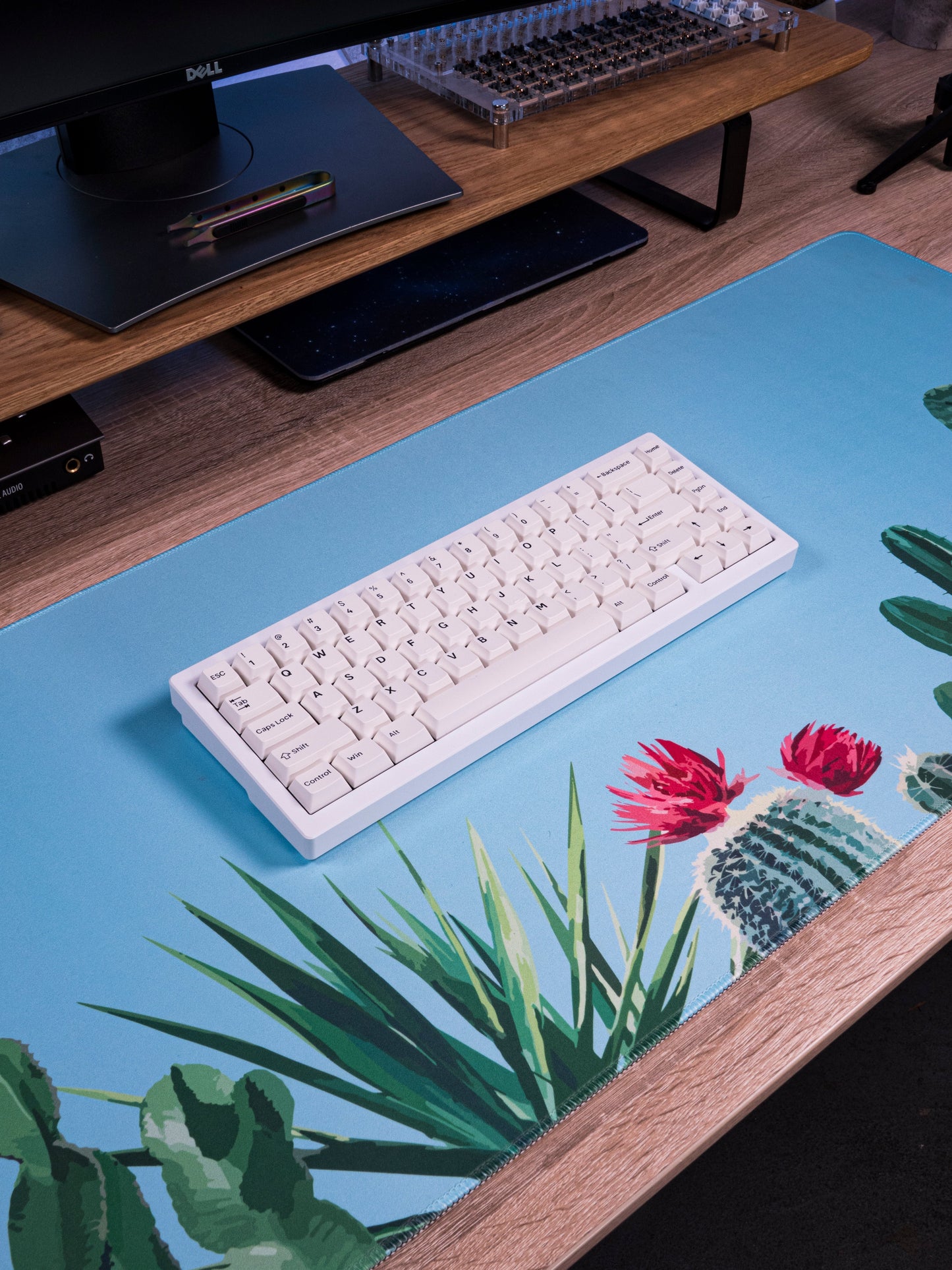 Blue desk mat with cactus artwork along the bottom edge, white keyboard on top