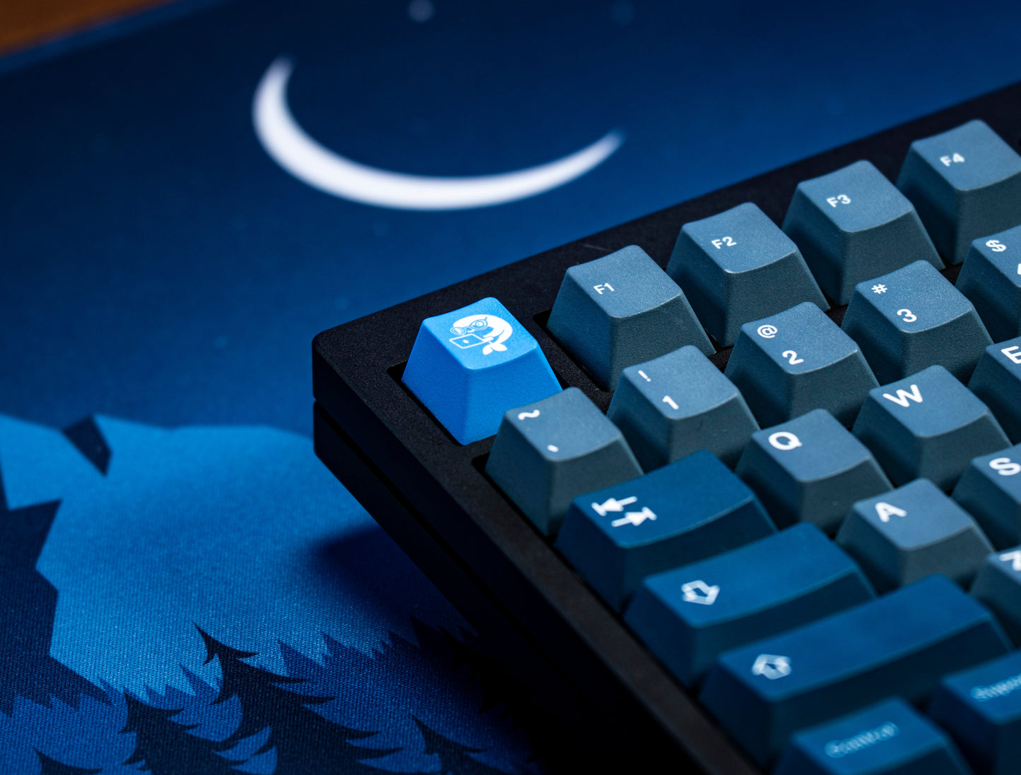 Blue keycaps with whale-themed function icons and letter keys, angled close-up