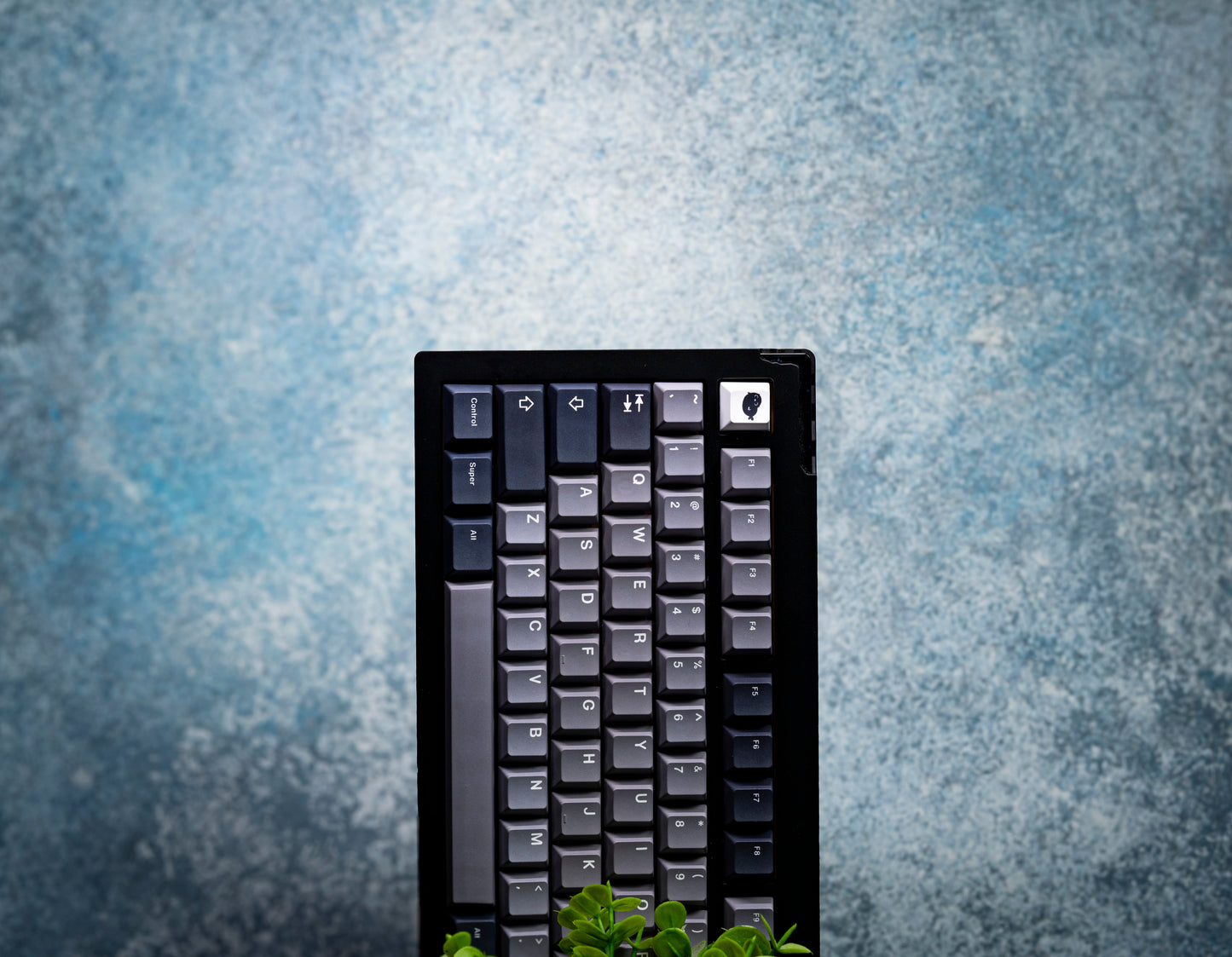Keycap set with dark navy and light gray legends, shown in a black tray