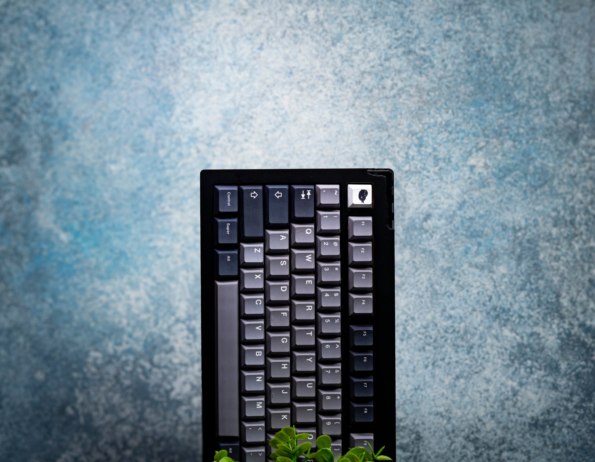 Keycap set with dark navy and light gray legends, shown in a black tray