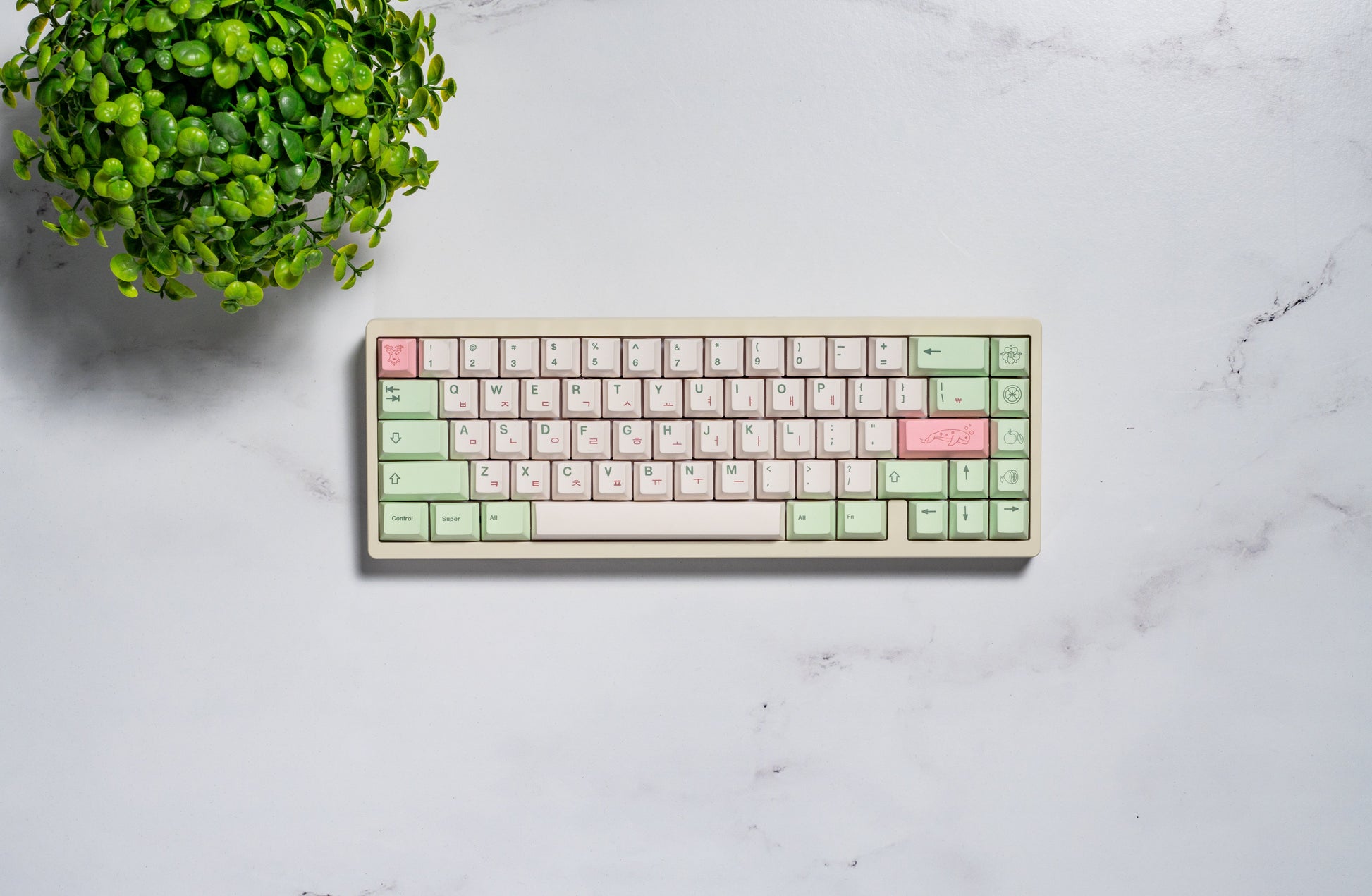 Top view of pastel keyboard keycaps, mint and pink accents on a white key set.