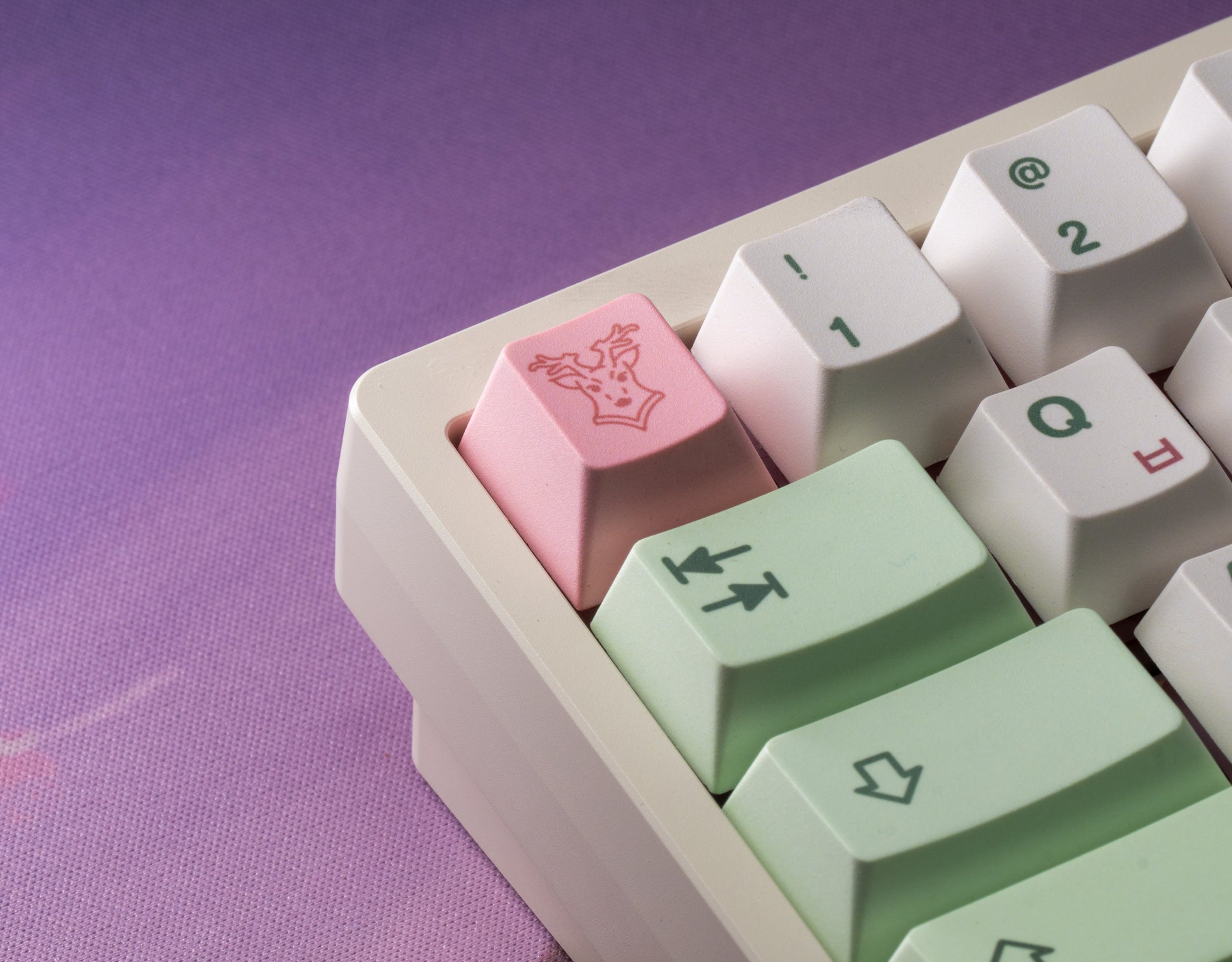 Close-up of pastel keycaps: mint and pink keys with arrow and @ legends on white.