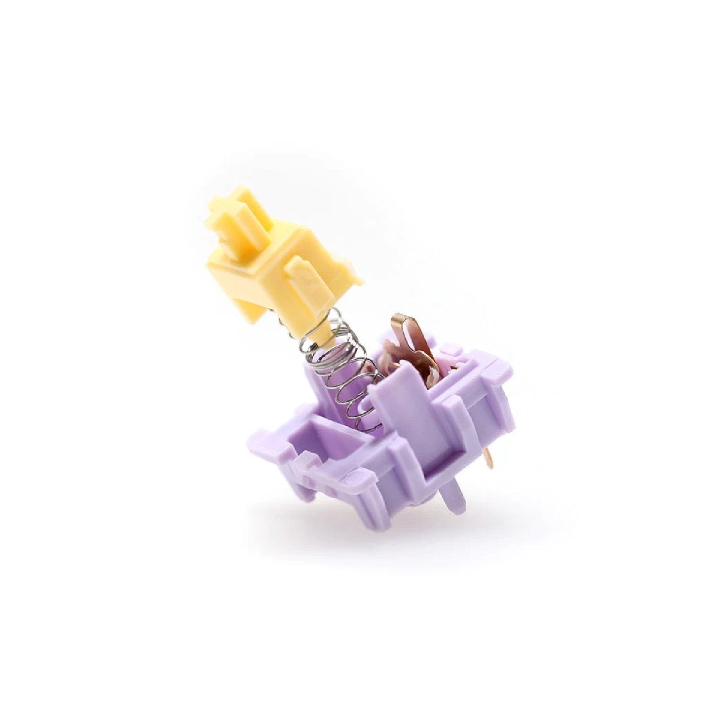 Keyboard switch side view with yellow stem, purple housing, visible spring