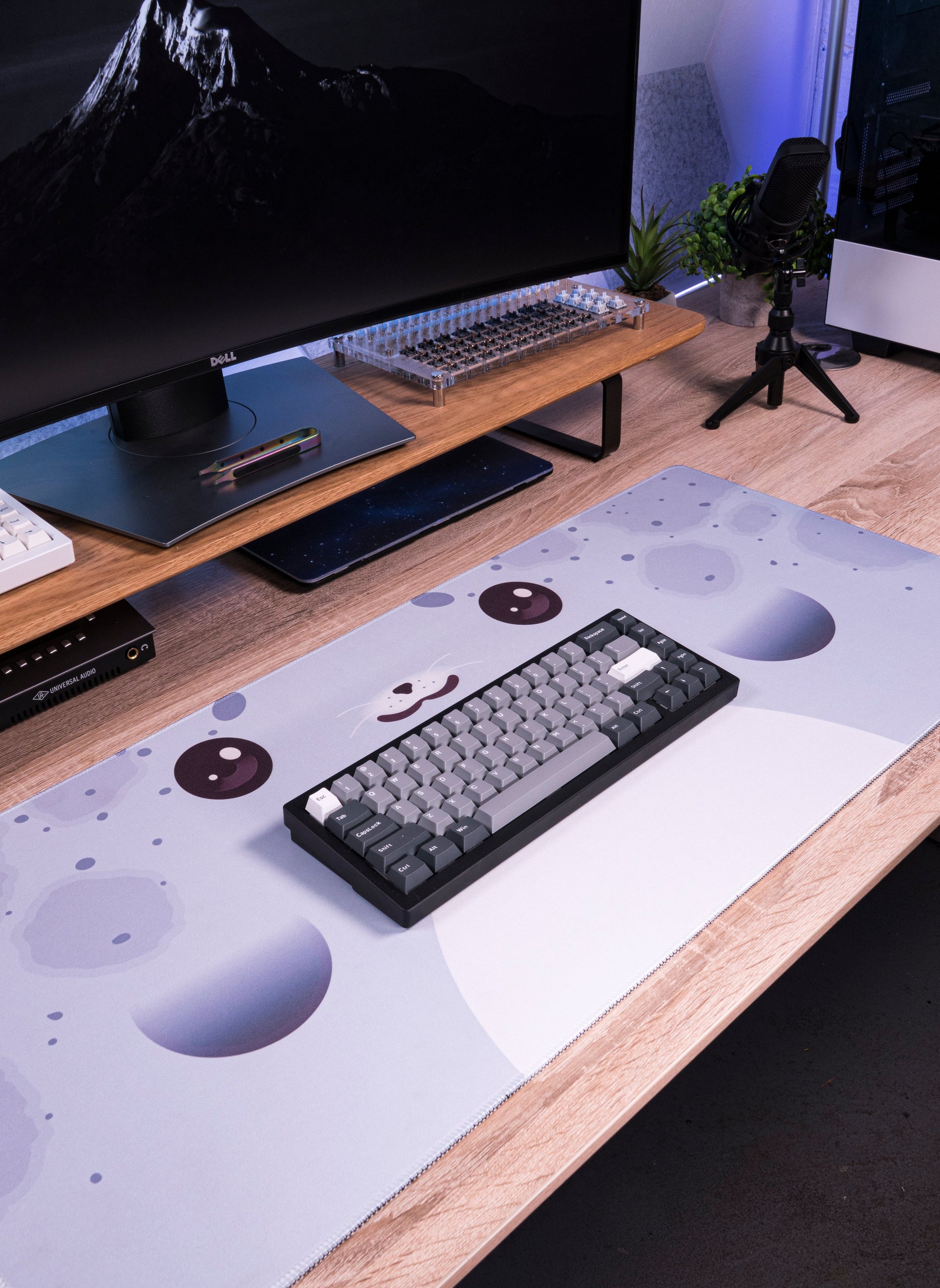 Seal-pattern desk mat with keyboard on top, light blue and white cute seal design