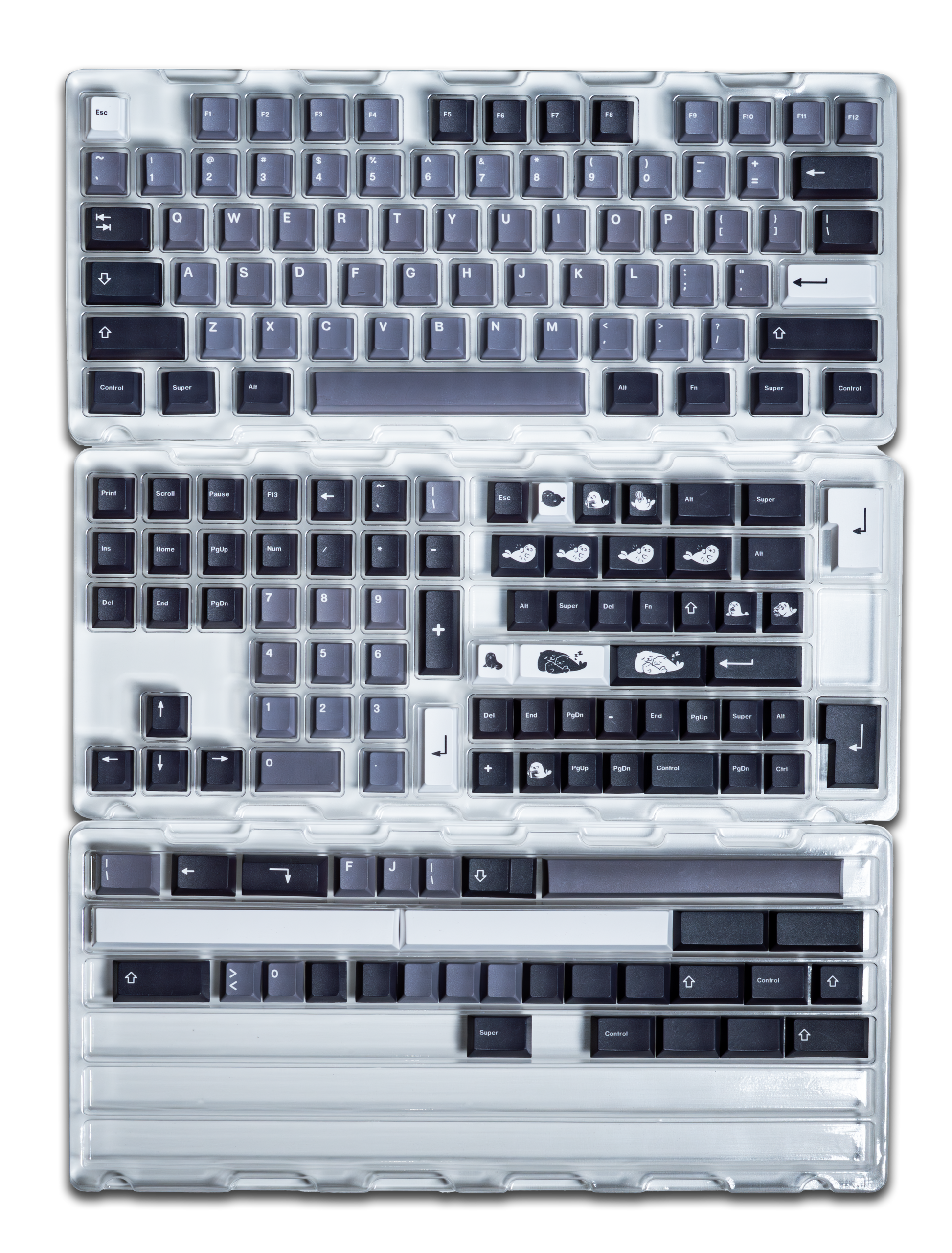Keycap set laid out in clear trays with light gray and white legends
